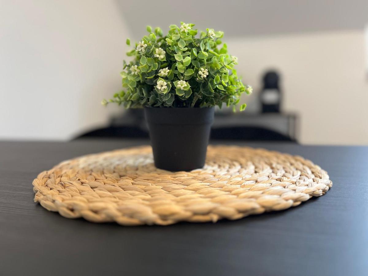 Appartment Miami , Naehe Duesseldorf ,Messe ,Hbf ,City, Wifi, Helios Hospital 克雷费尔德 外观 照片
